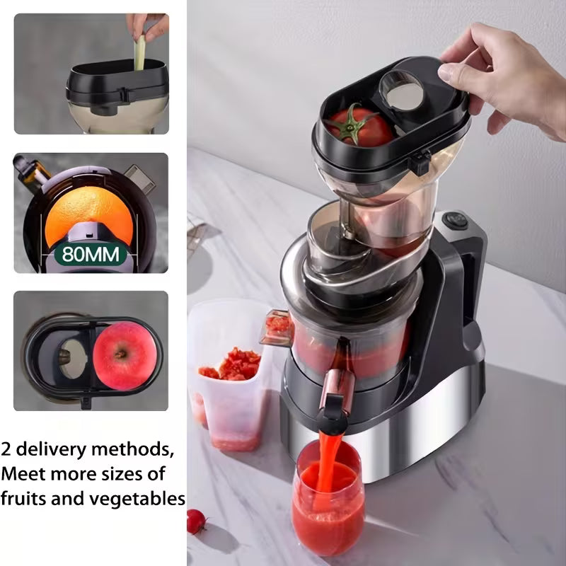 Fruit Juicer 300W (BG)