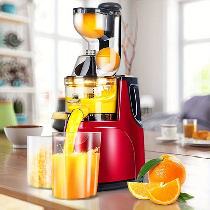 Fruit Juicer 300W (IT)